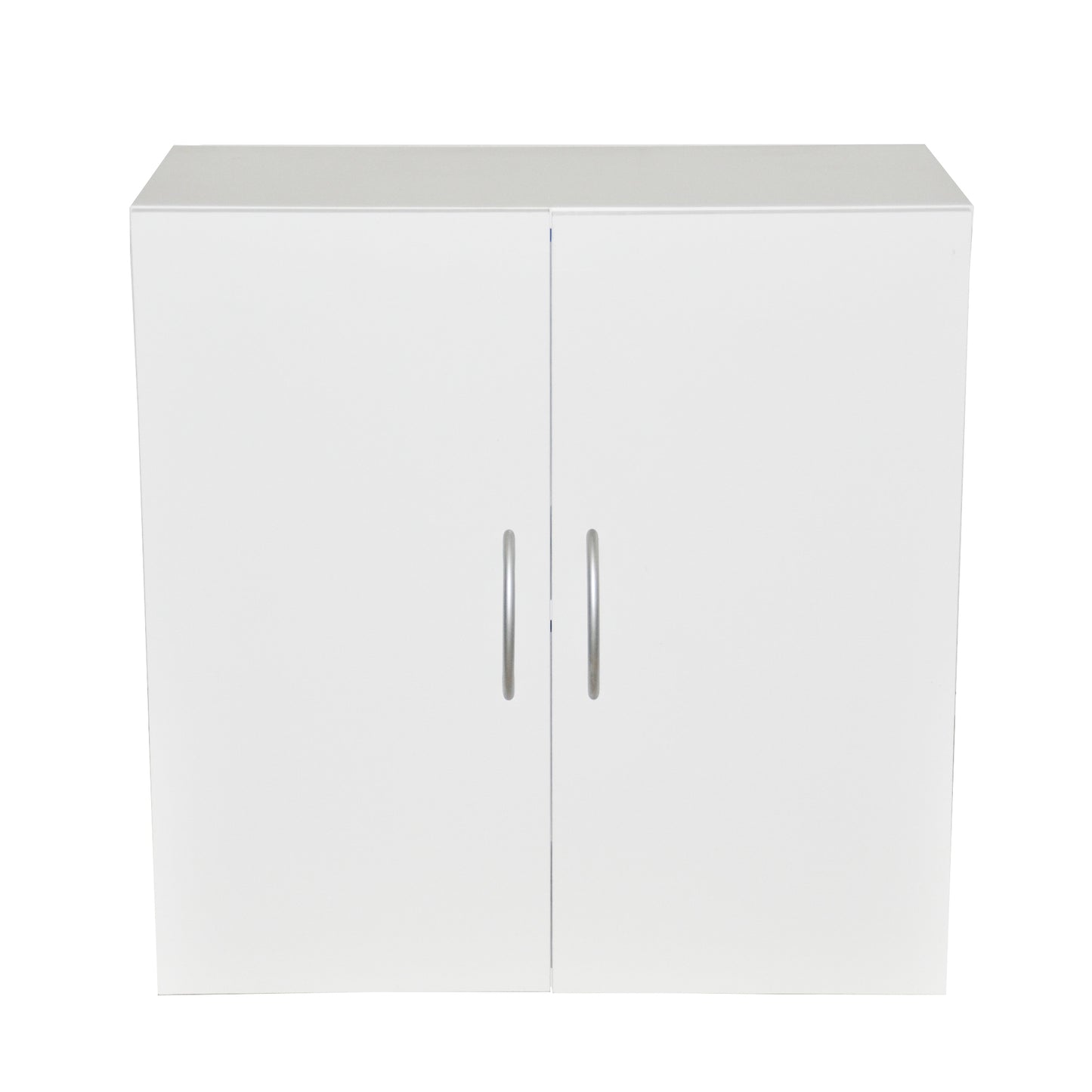 24 in. W x 12 in. D x 24 in. H Bathroom Storage Wall Cabinet in White Titanium